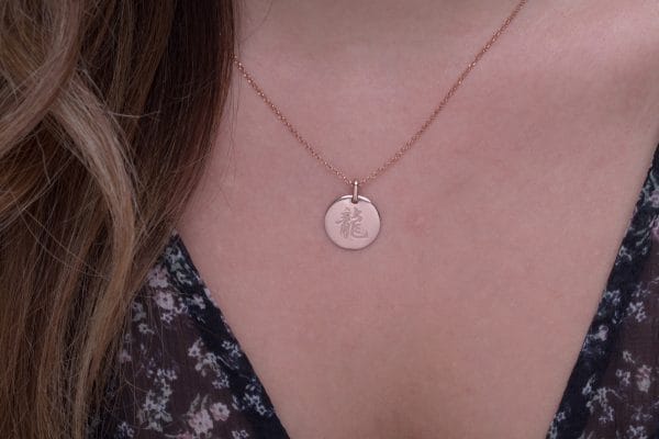 XRI_2287 Chinese zodiac disk necklace - Image 2