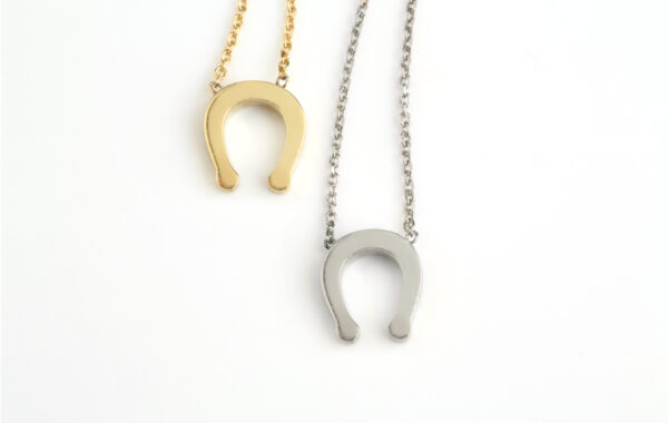 Horseshoe necklace 1 Horseshoe necklace