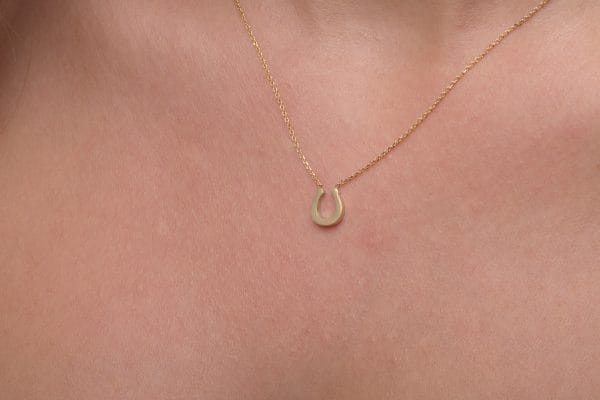 XRI_6049 Reversed gold horseshoe necklace - Image 5