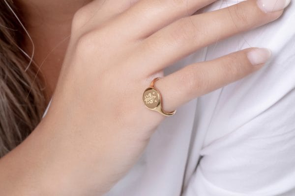 IMG_9378 Family crest signet ring, RN377 - Image 7
