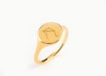 Constellation zodiac ring in solid gold