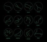 constellation signs