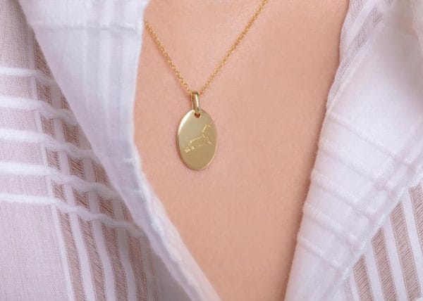 Oval gold Zodiac necklace - Image 4
