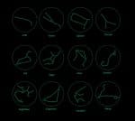 Oval gold Zodiac necklace - Image 5