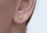 North star diamond studs