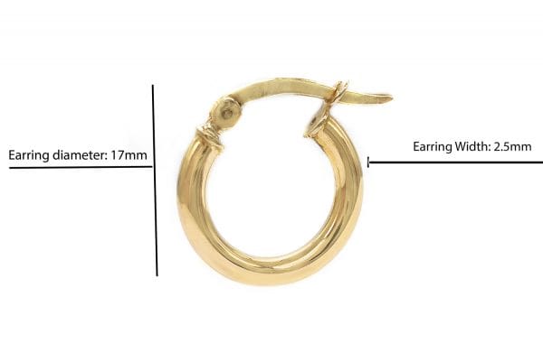 17x2,5mm Gold hoops