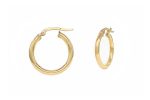 24x2,5mm gold hoops